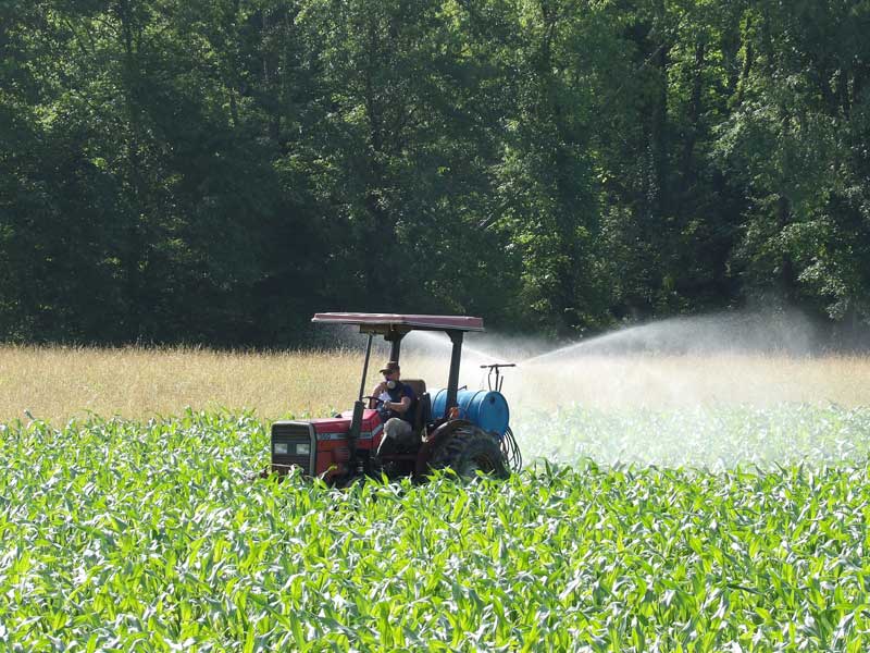 Food Plot Guide Tips and Tricks Mossy Oak