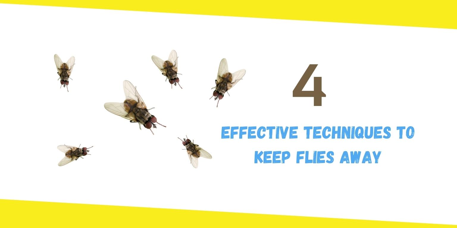 4 Effective Techniques To Keep Flies Away