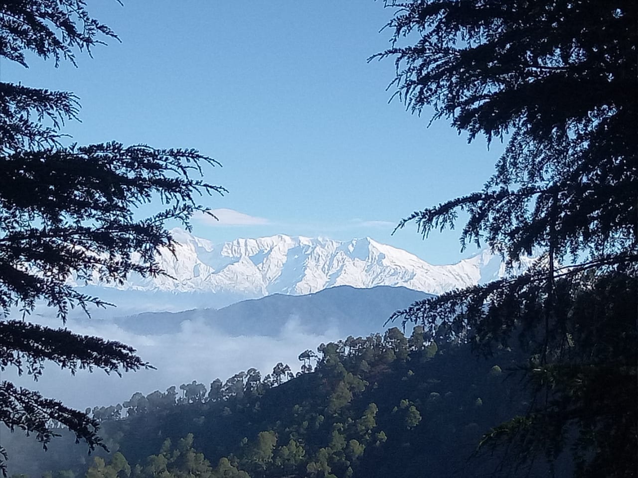 Mother Estate Residential Property & Plot in Nainital