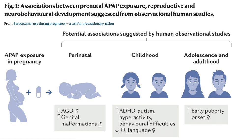 Experts Warn Acetaminophen NOT Considered Safe in Pregnancy Motherly