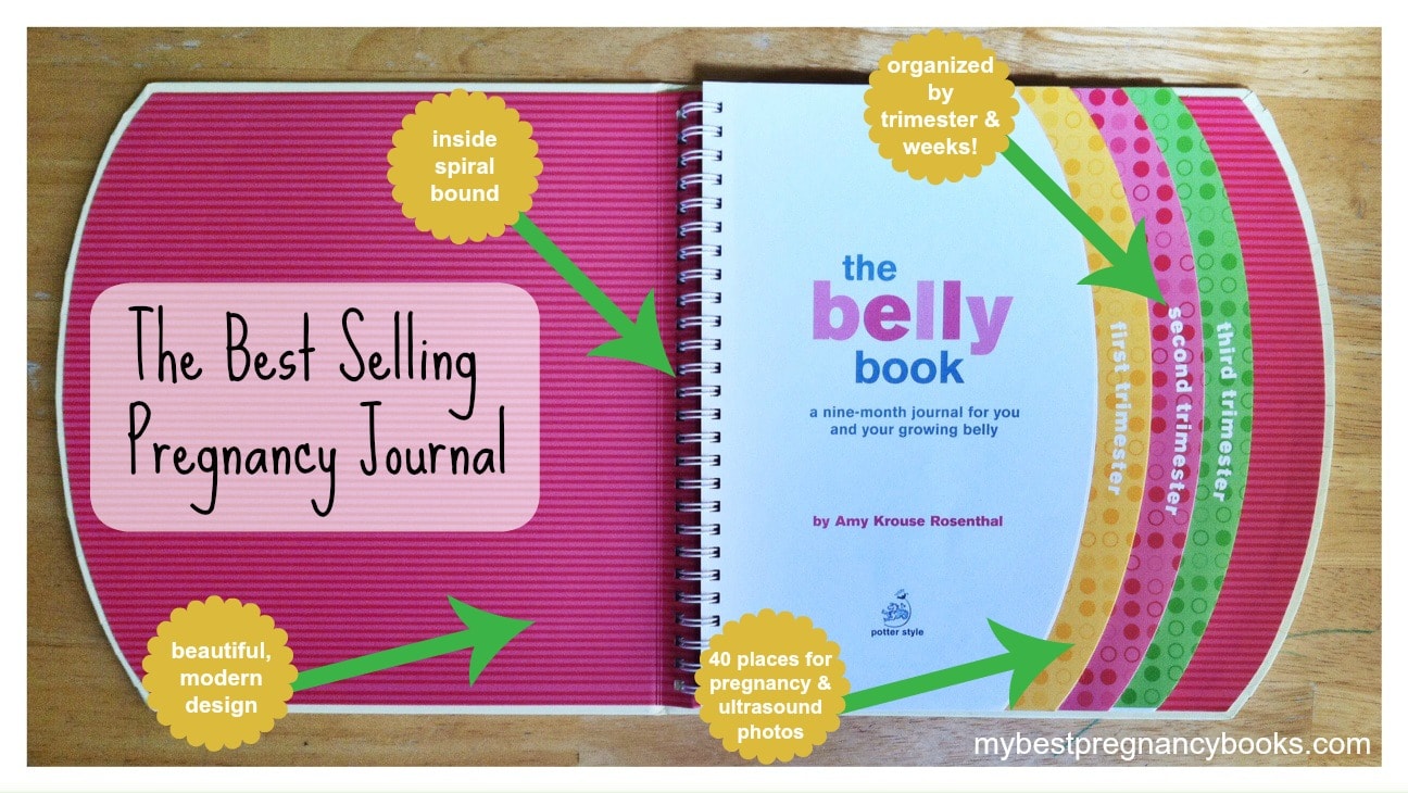 7 Best Pregnancy Journals for New Moms Mother Rising