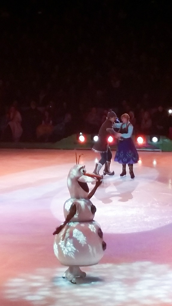 Disney On Ice Presents Princesses and Heroes