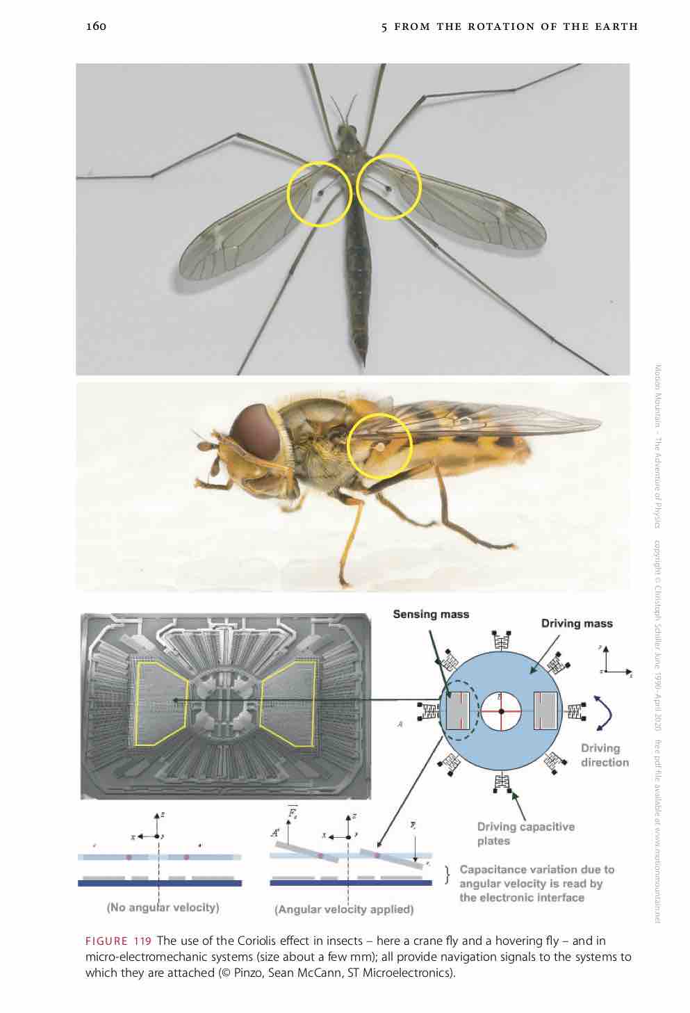 Motion Mountain The Captivating Free Physics Pdf Book
