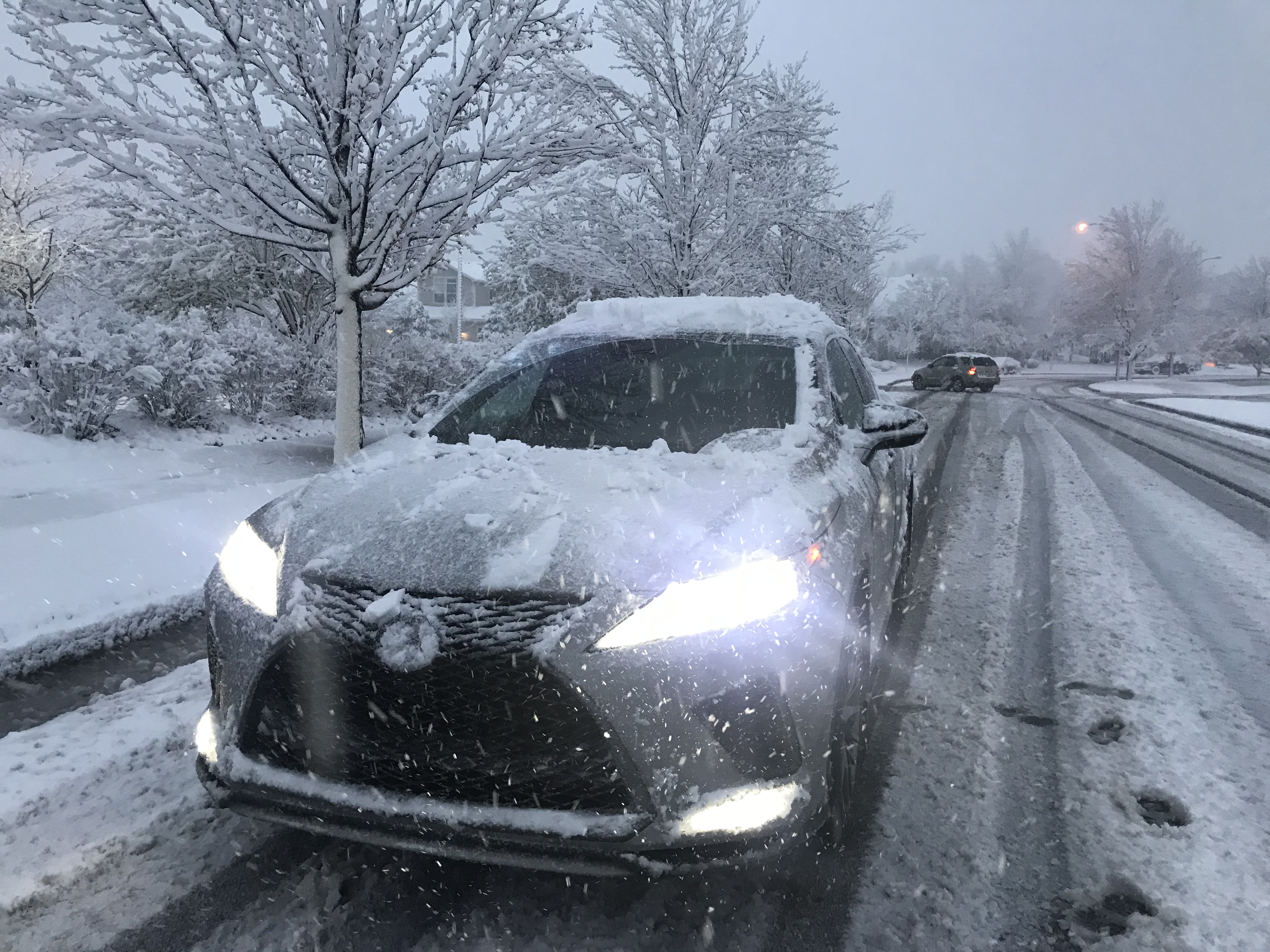 The 2021 Lexus RX 450h Likes to Play in the Snow