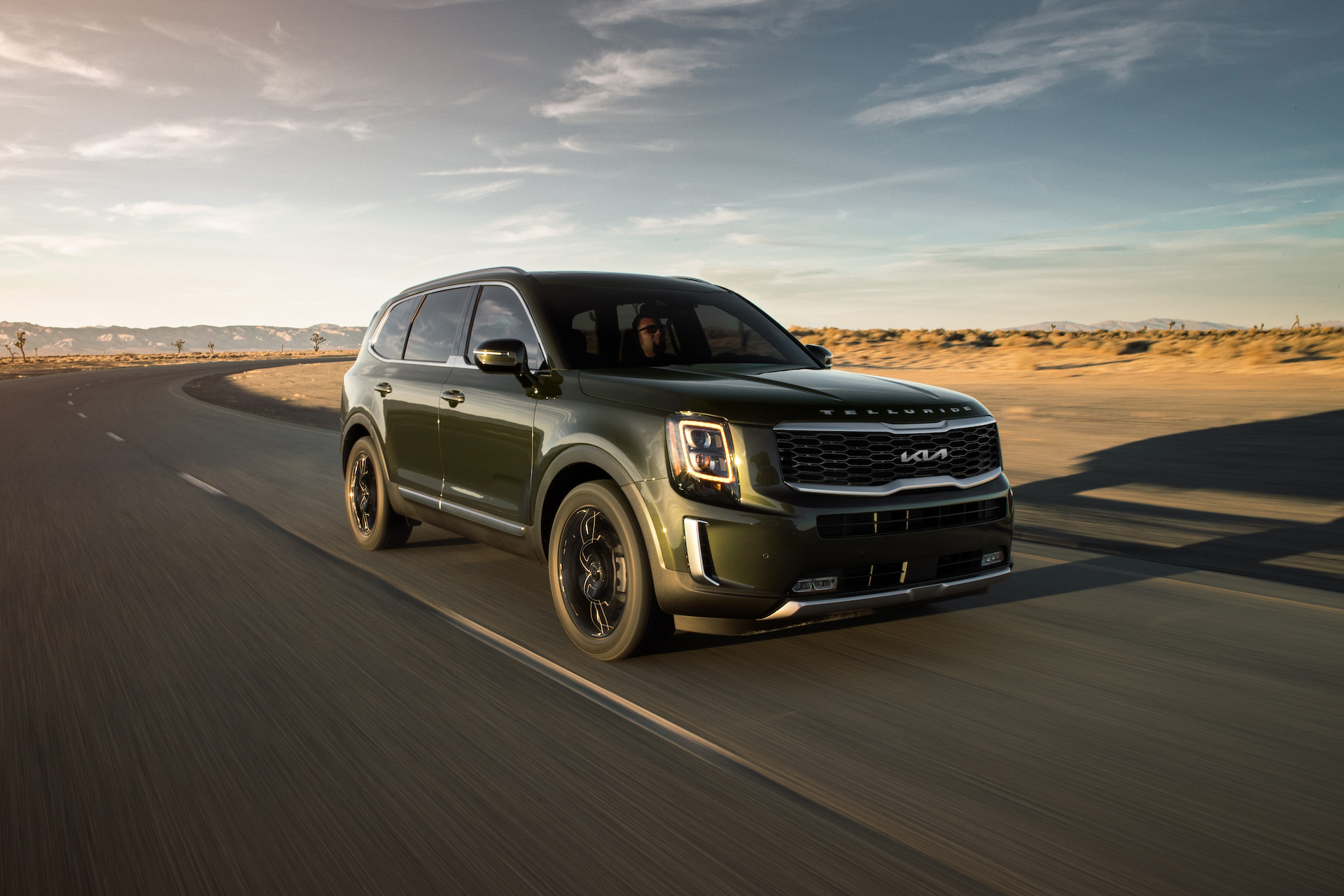 Kia Telluride Blacked Out 2024 Blondy Delilah