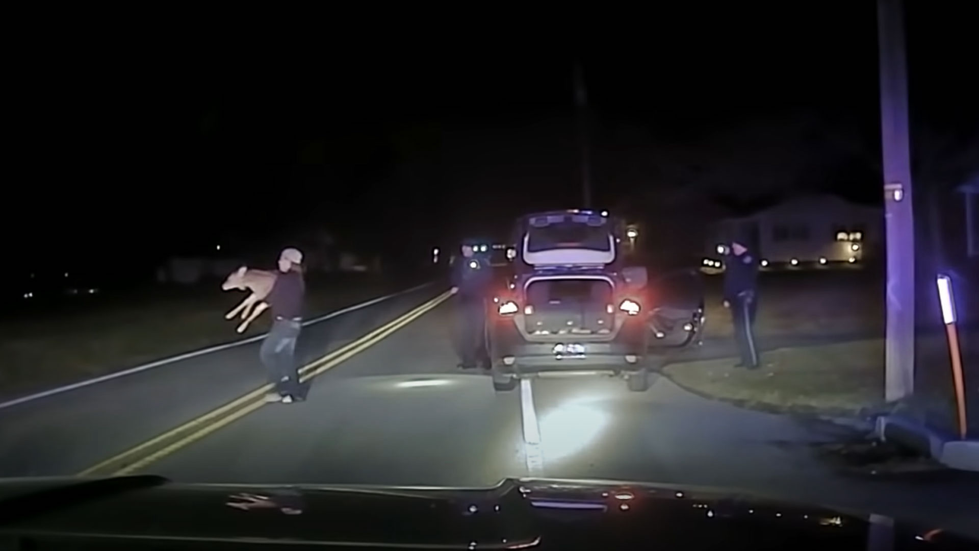 Pennsylvania Driver Busted After Picking Up a Deer She Thought Was Road