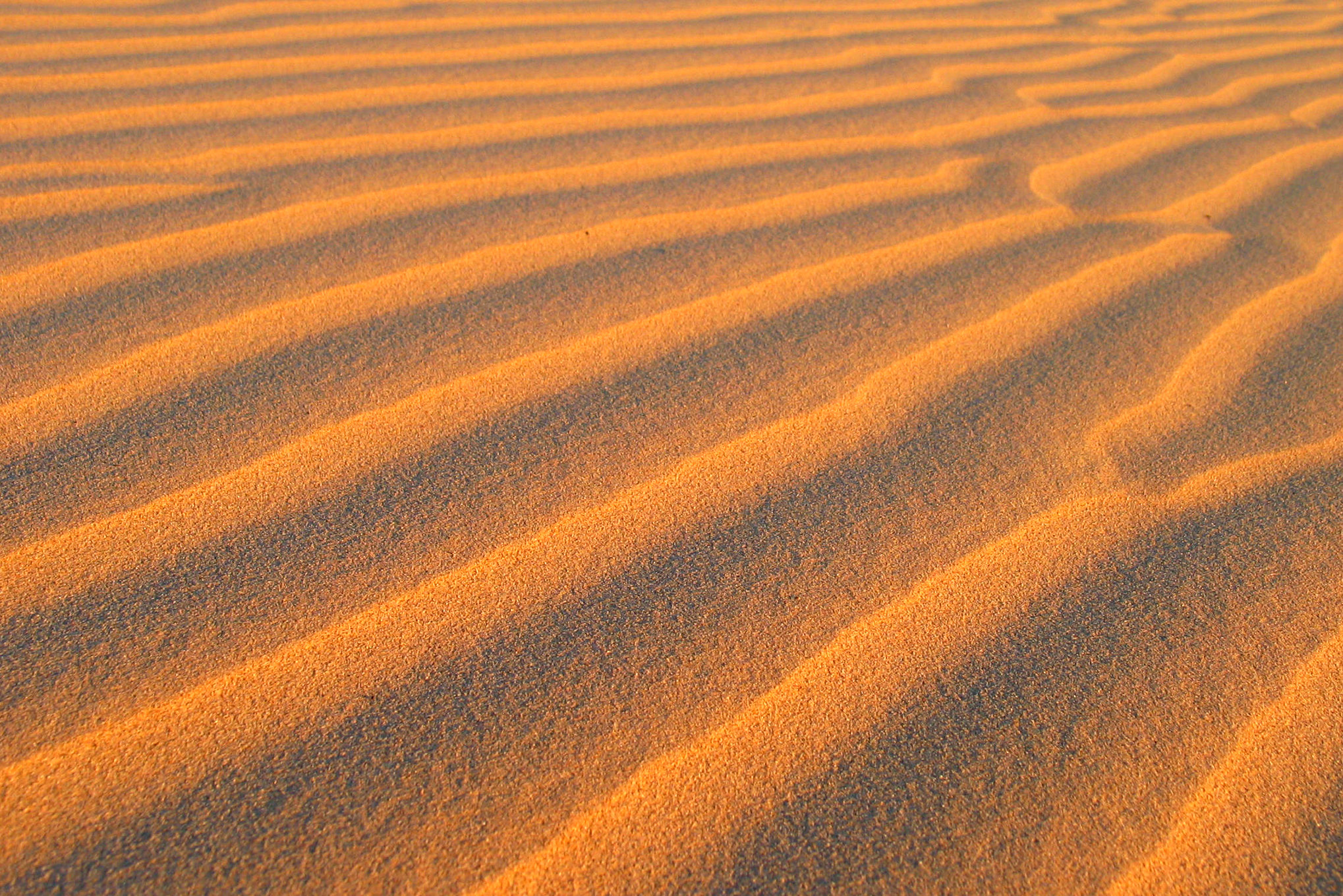 Sand Spots Where To Take Your 4x4 In The Sand