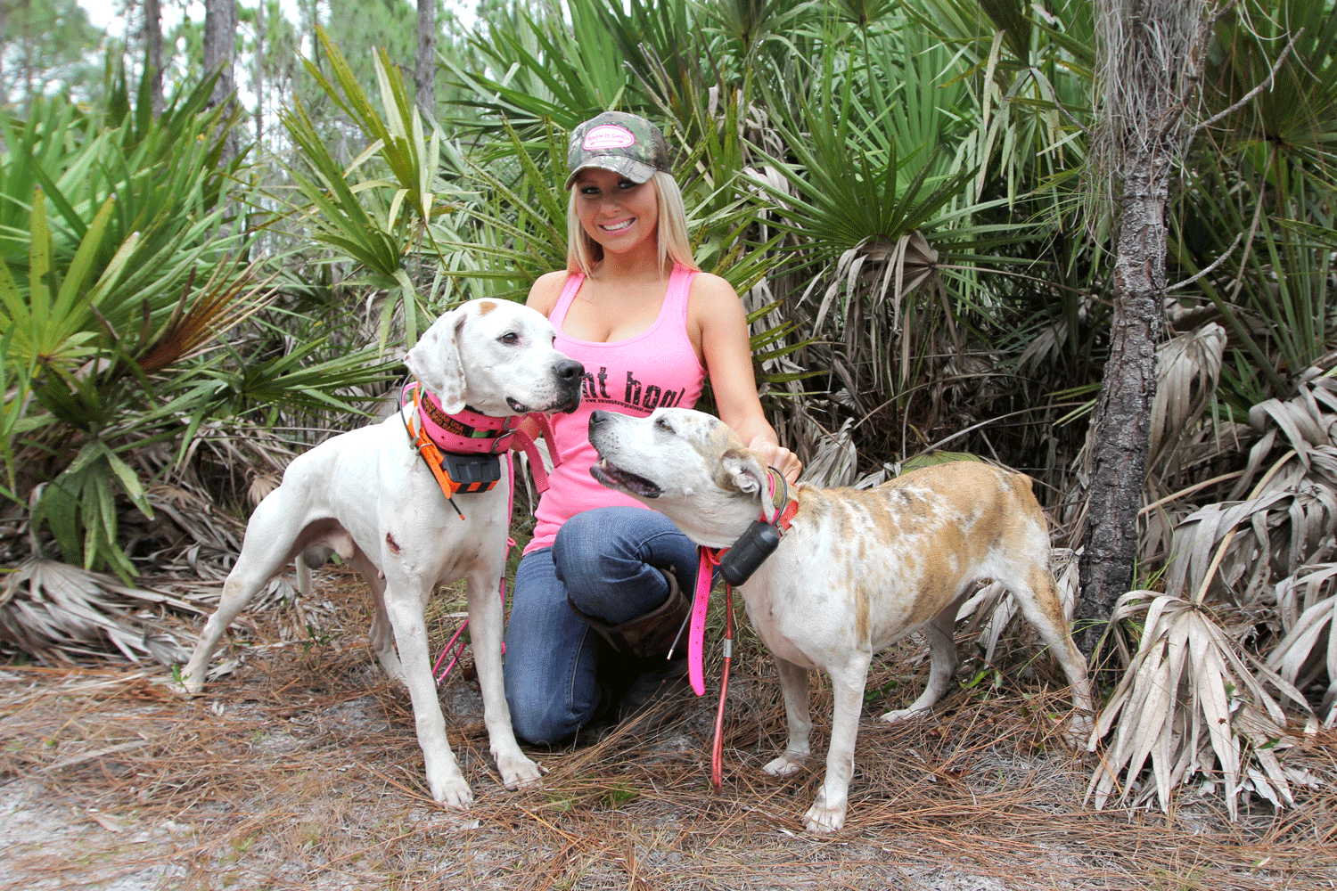 Catchin’ Hogs With Dogs