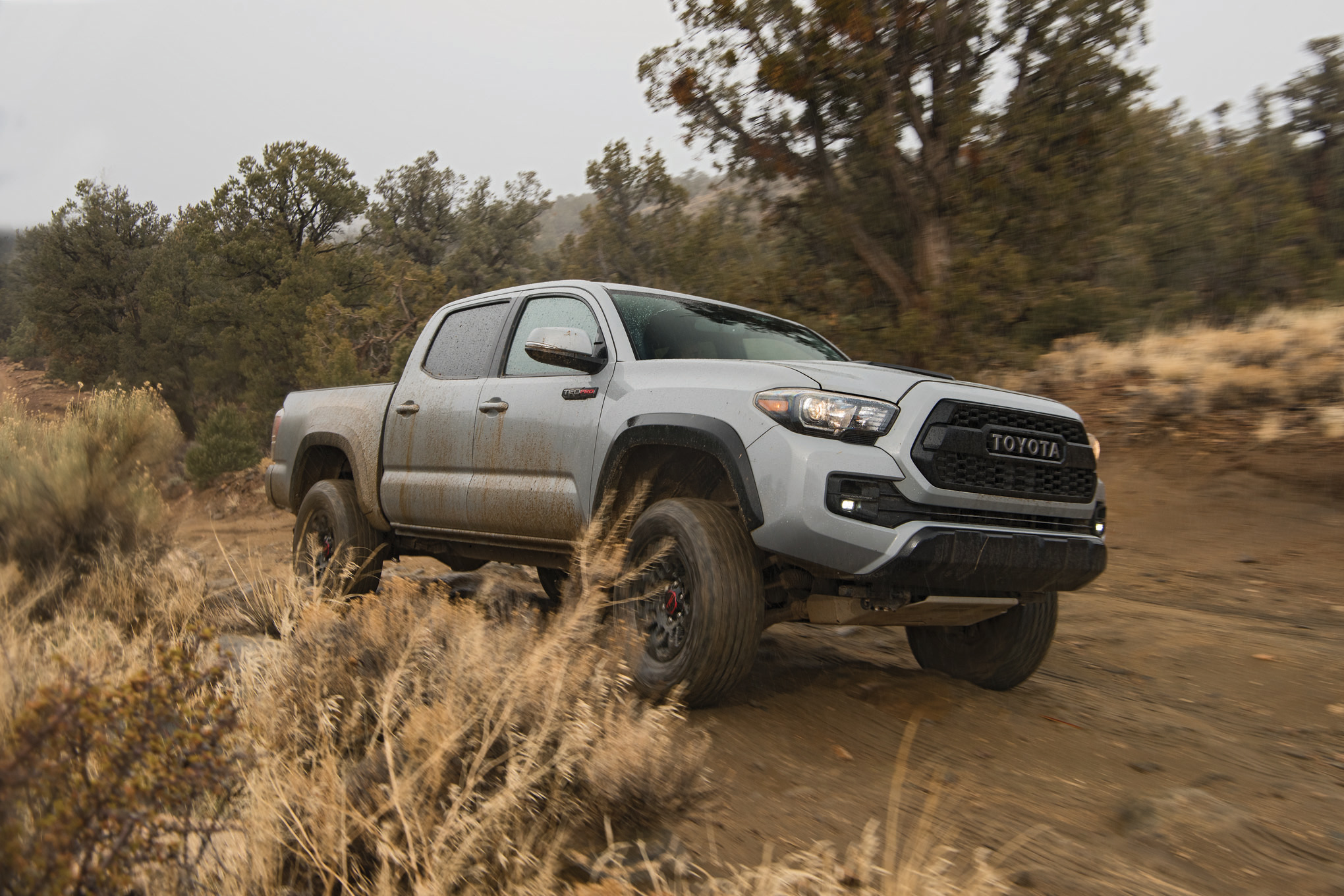 2017 Toyota Tacoma Trd Pro