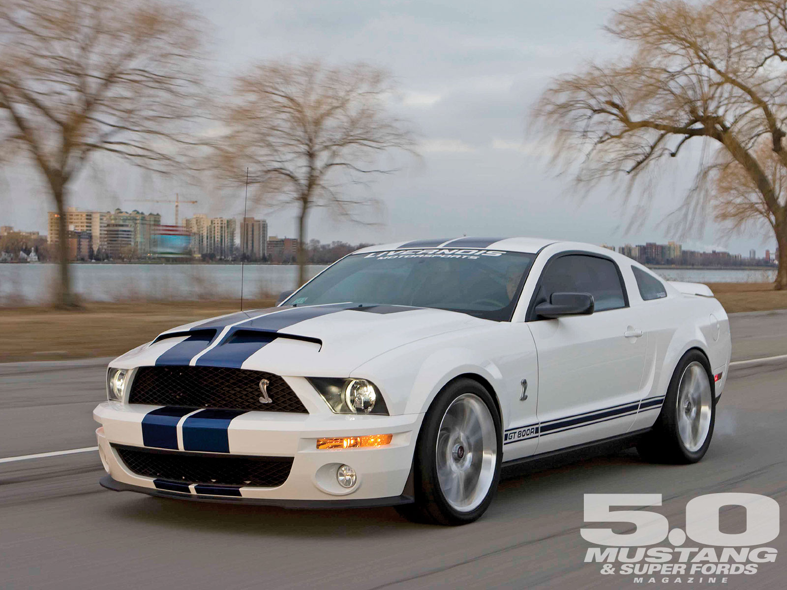 2008 Ford Shelby GT500 Crossover Vehicle