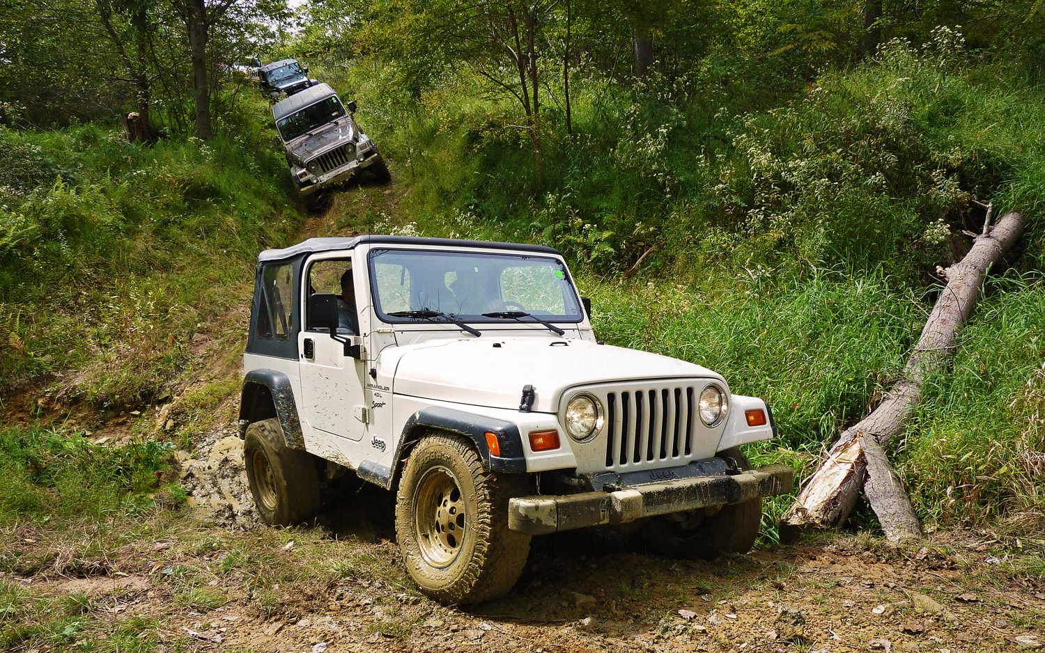 Travel 2011 Jeep Jamboree in Laurel Highlands, Pennsylvania