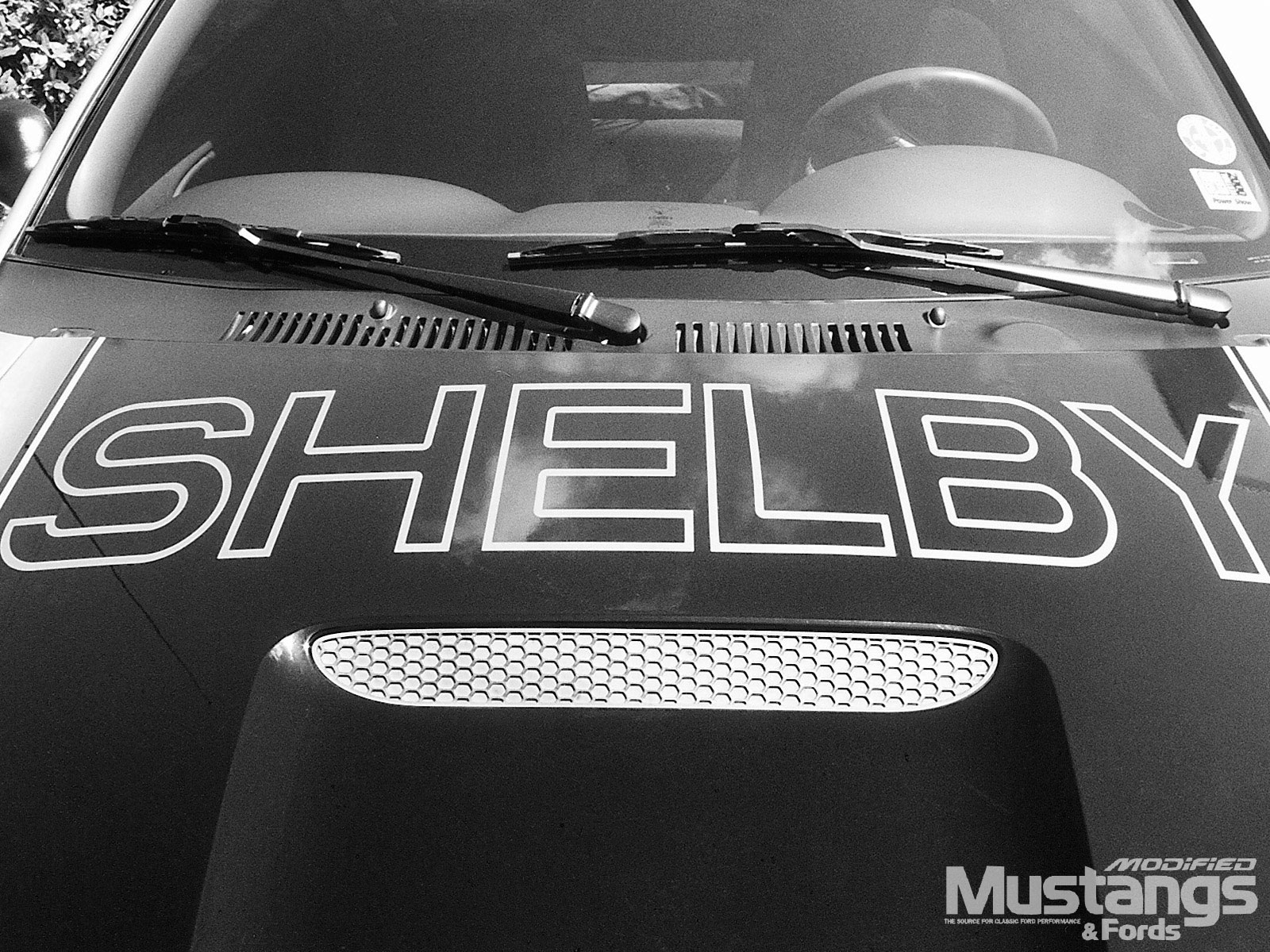 Shelby Mustang Parts Guide