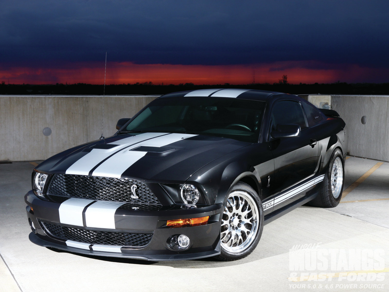 Shelby Gt500 2008