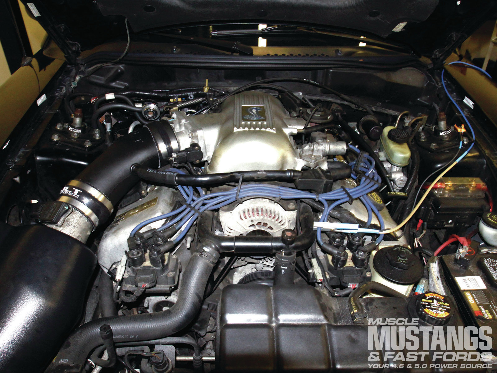 1996 Mustang Cobra Engine