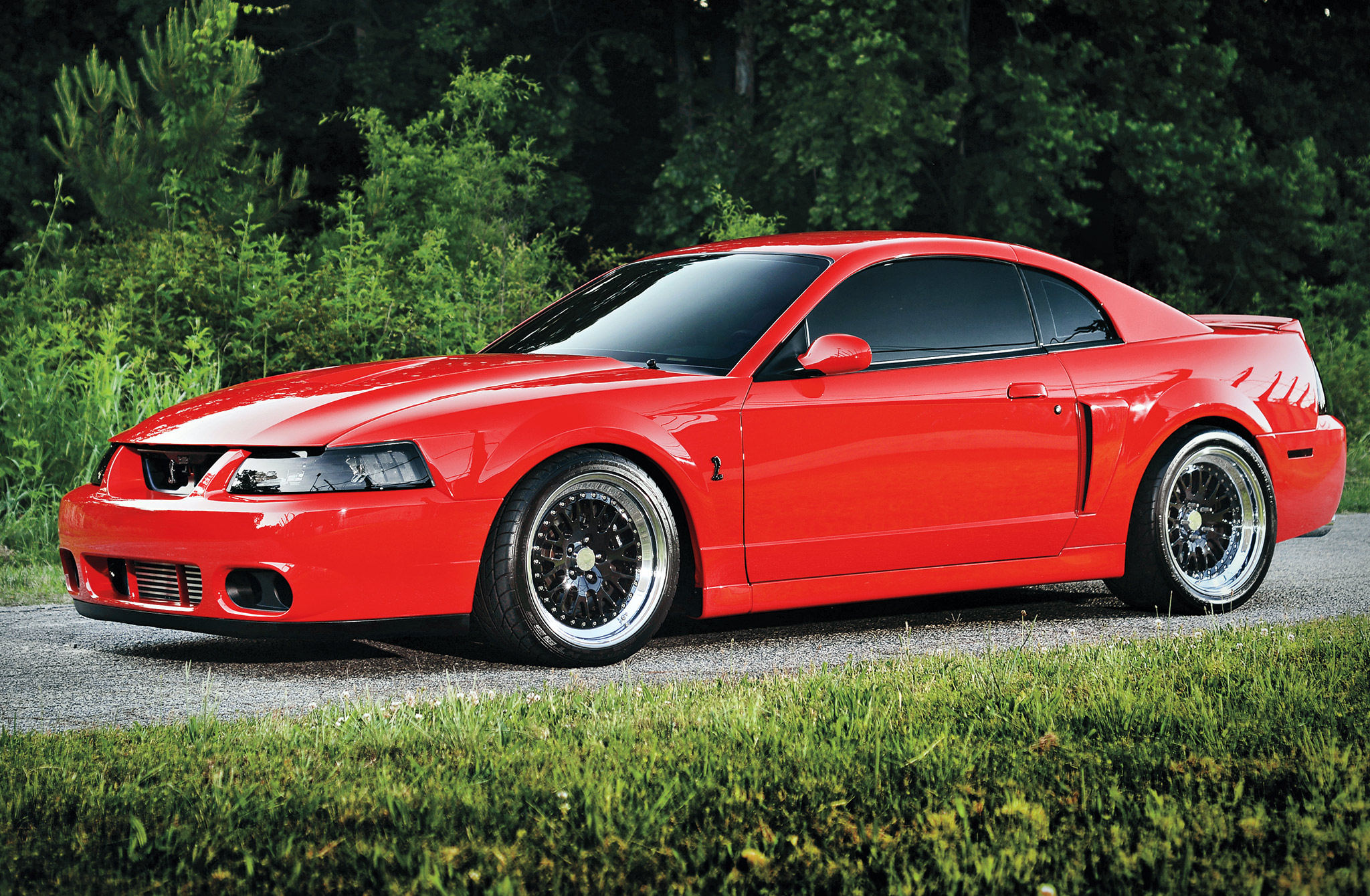 2003 Ford Mustang Cobra - Torch Strong