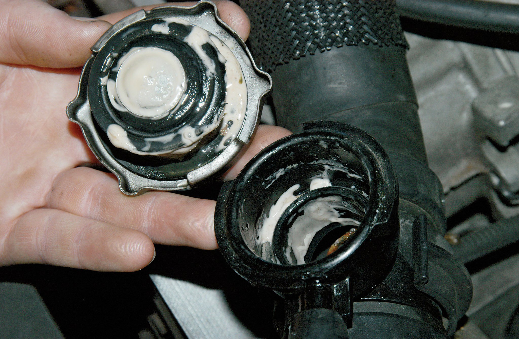 Signs And Symptoms Of A Blown Head Gasket AxleAddict, 57% OFF