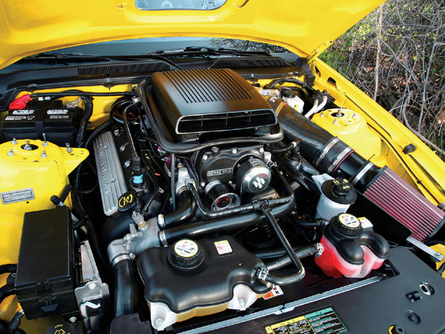 GT 500-Powered 2005 Mustang GT - Homegrown S197 Cobra - 5.0 Mustang