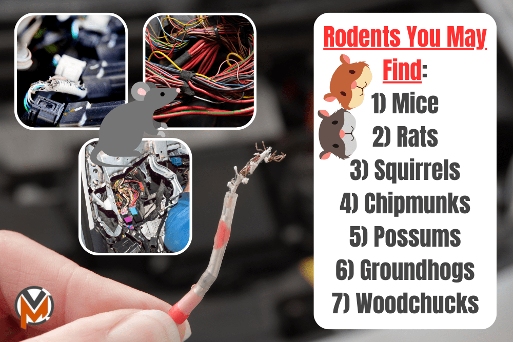 List Of 2025 Cars With Soy Based Wiring Netti Karine