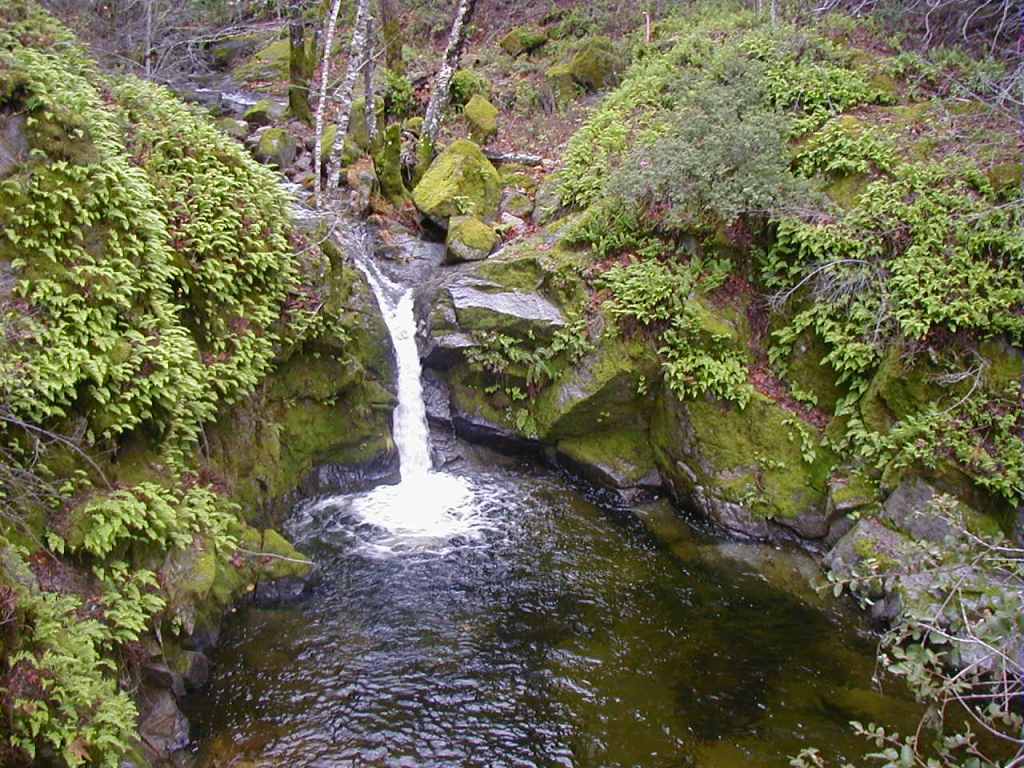 Carmel River Black Rock Creek Dam