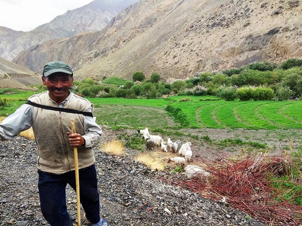 Experience Farming at 14000 ft. Mountain Homestays