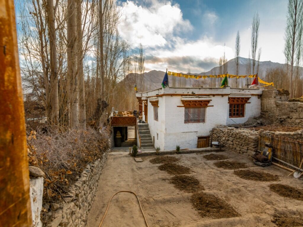 Flavours of Ladakh Homestay Mountain Homestays