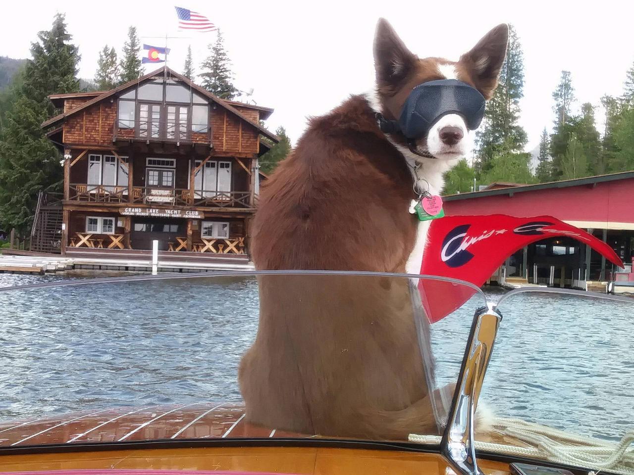 Grand Lake Calendar Of Events Daisy Elberta