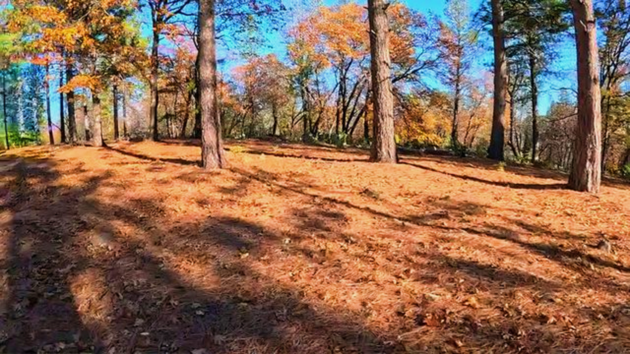 Shasta County Land For Sale, 20 Acres Backbone Rd, Bella Vista, CA