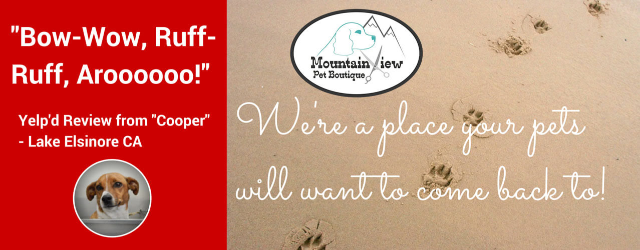 Mountainview Pet Boutique Pet Grooming Lake Elsinore