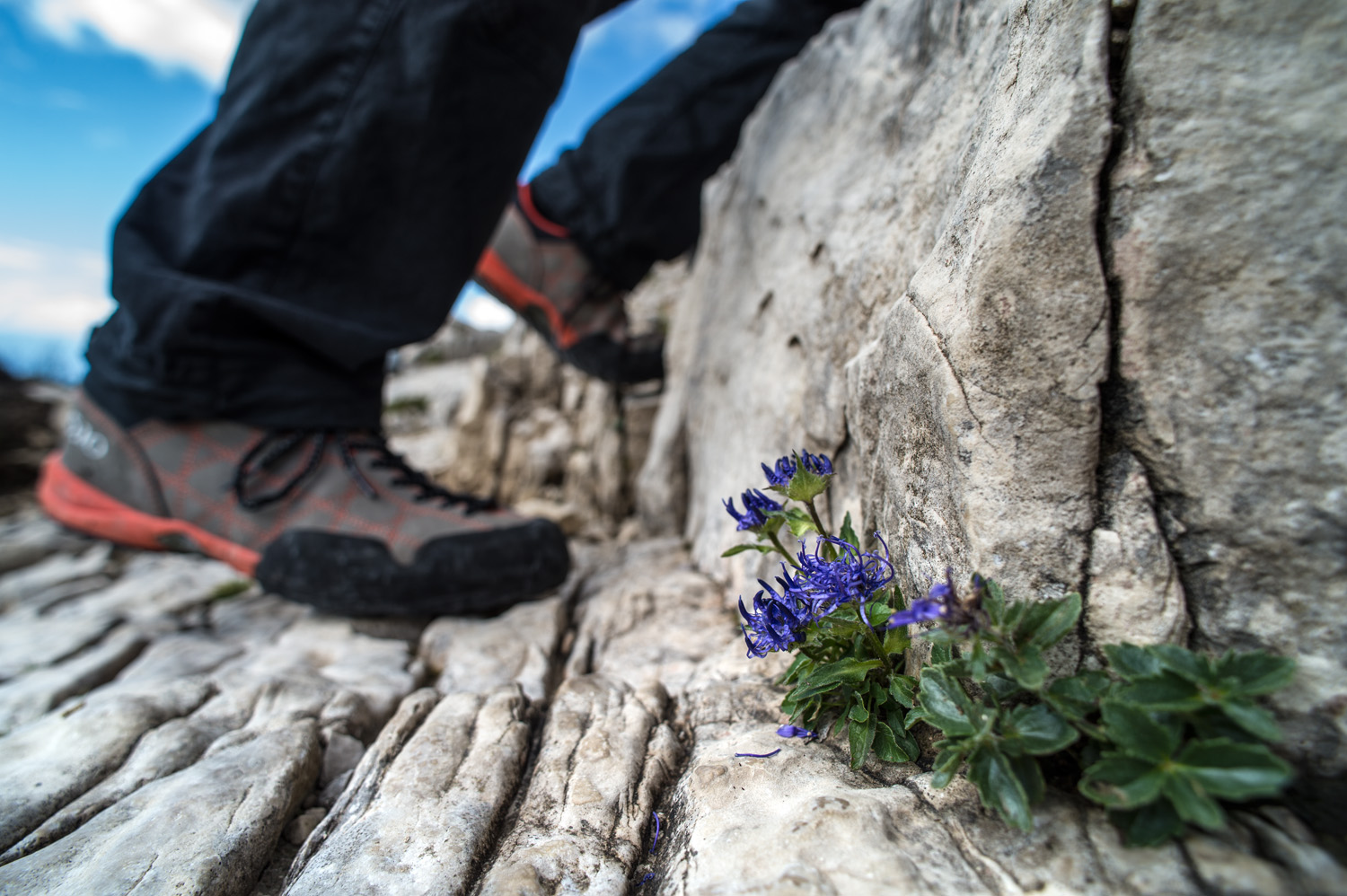 Paula Wiesinger Apartments & Suites in Seiser Alm, Italien