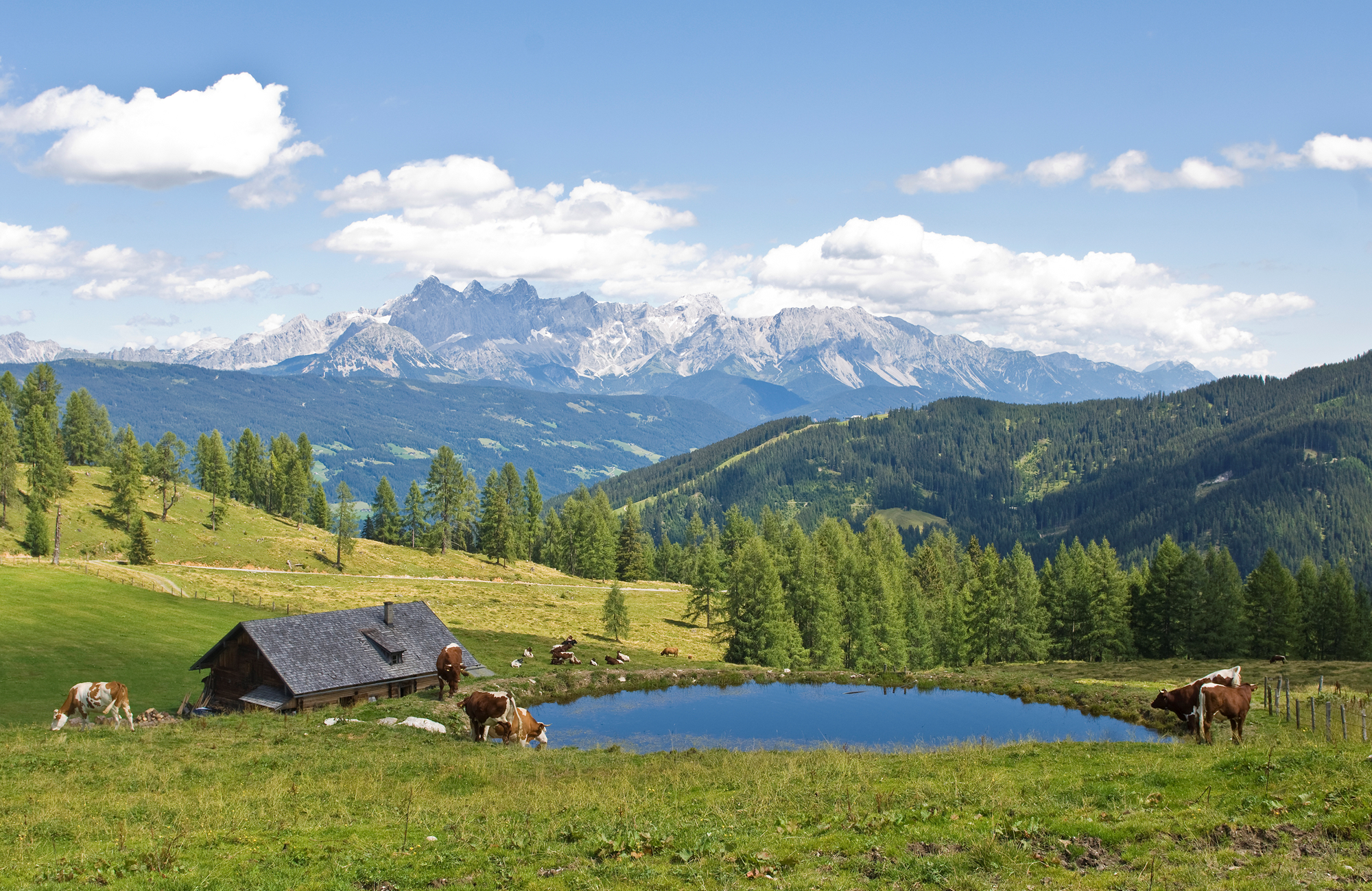 Flachau Freeride für fortgeschrittene