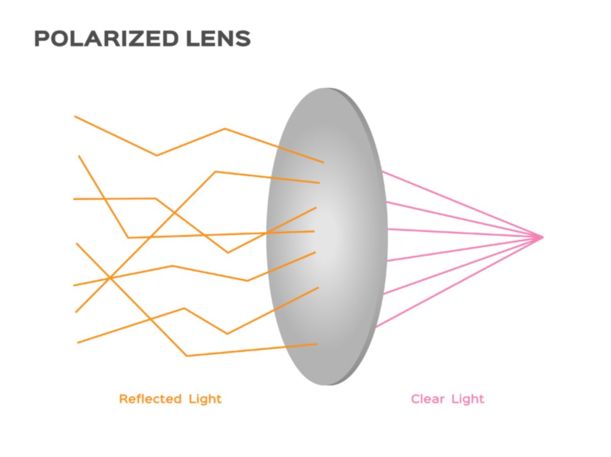 Polarized vs. NonPolarized Sunglasses What’s The Difference?