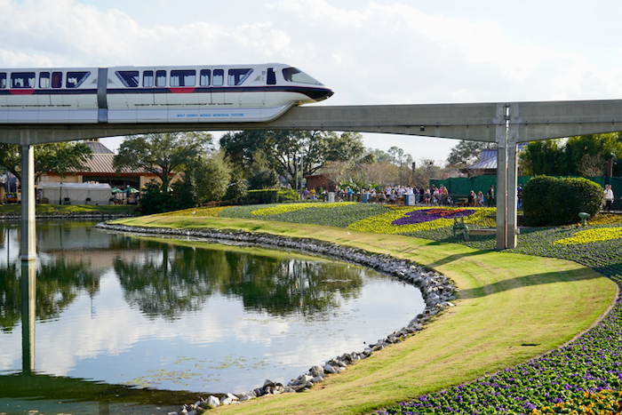 Epcot International Flower & Garden Festival 2022 Flower