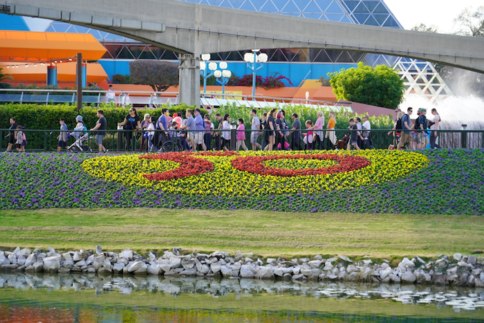 Epcot International Flower & Garden Festival 2022 Flower