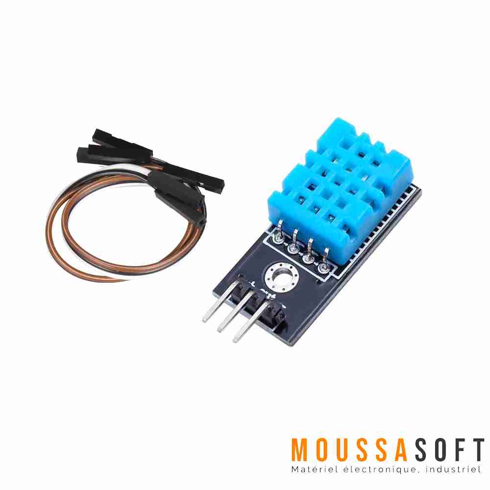 Capteur d'humidité et température en saillie, sorties actives, capteur