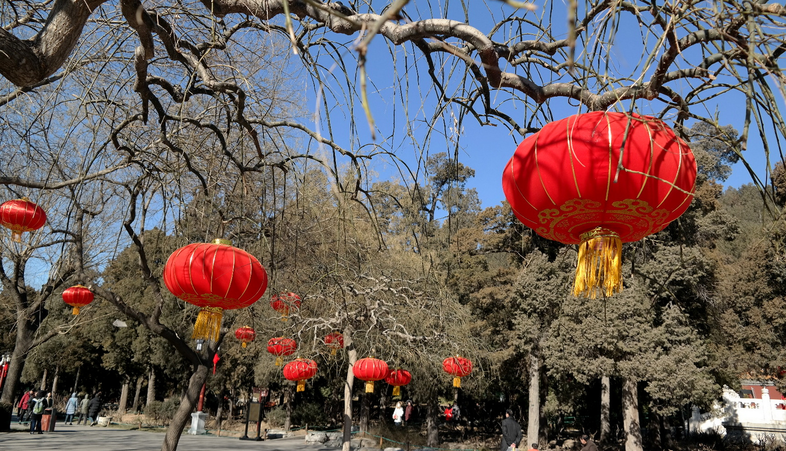 Beijing - Around Forbidden City in Spring Festival