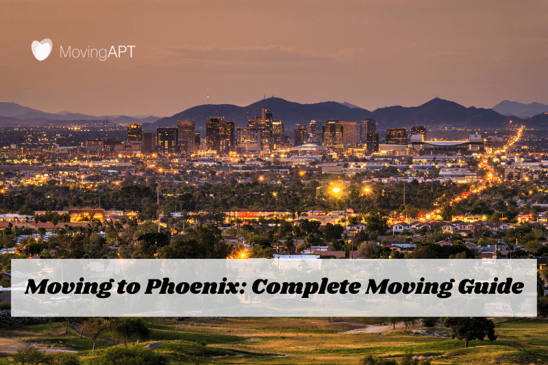 Phoenix Rising Why This Desert City is the Hot Spot for New Life