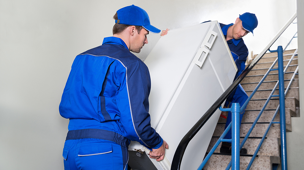 How Long Should You Leave A Fridge To Settle After Moving It at David