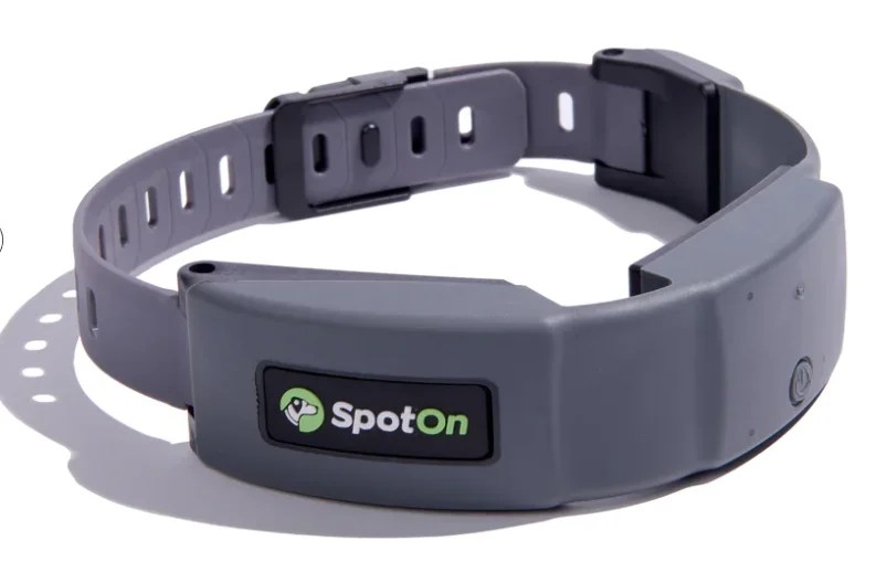 Halo vs. SpotOn Which GPS Collar is Best for Your Dog?