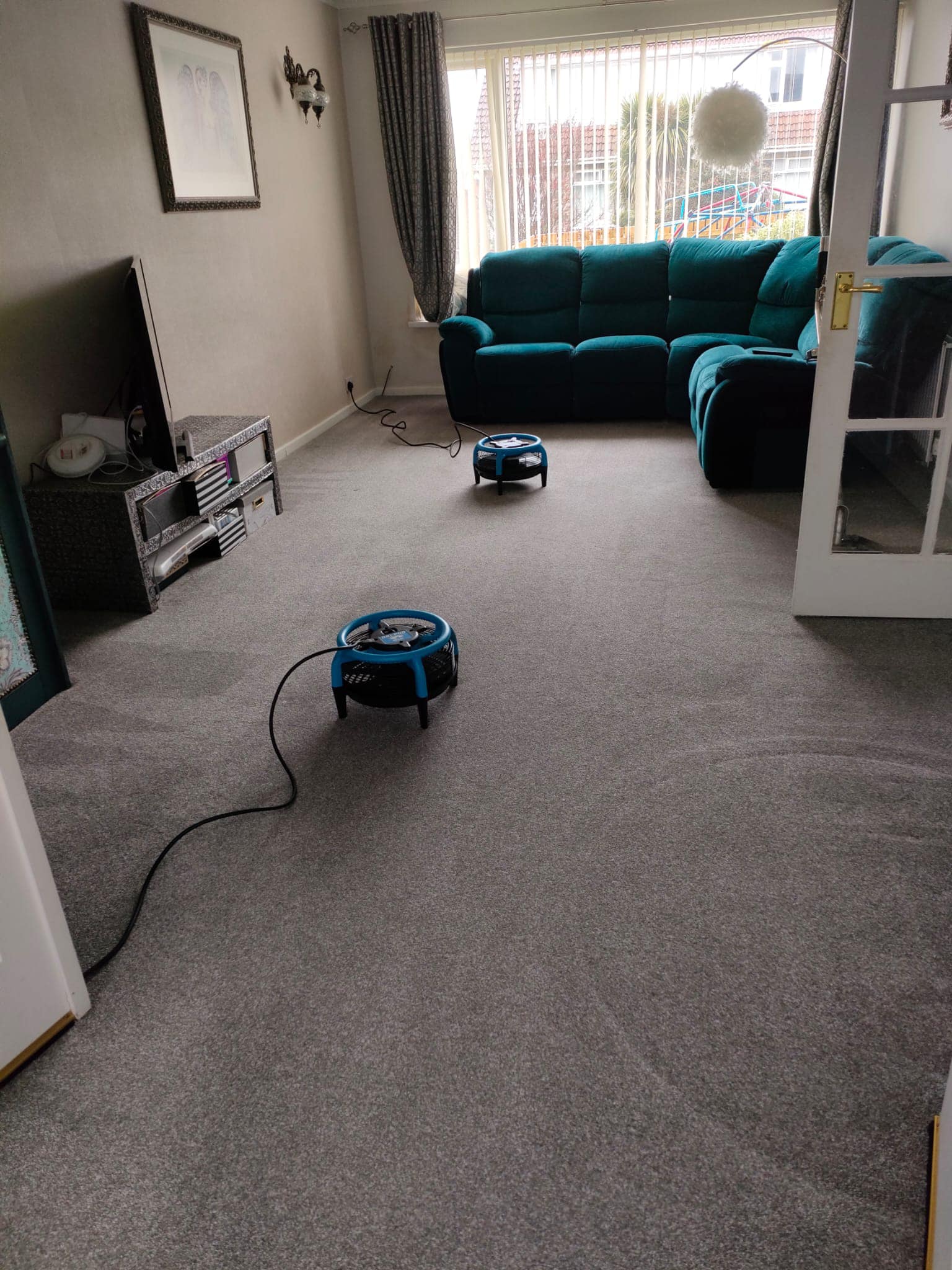 Domestic Carpet Cleaning in Bangor Commercial Carpet Cleaning in
