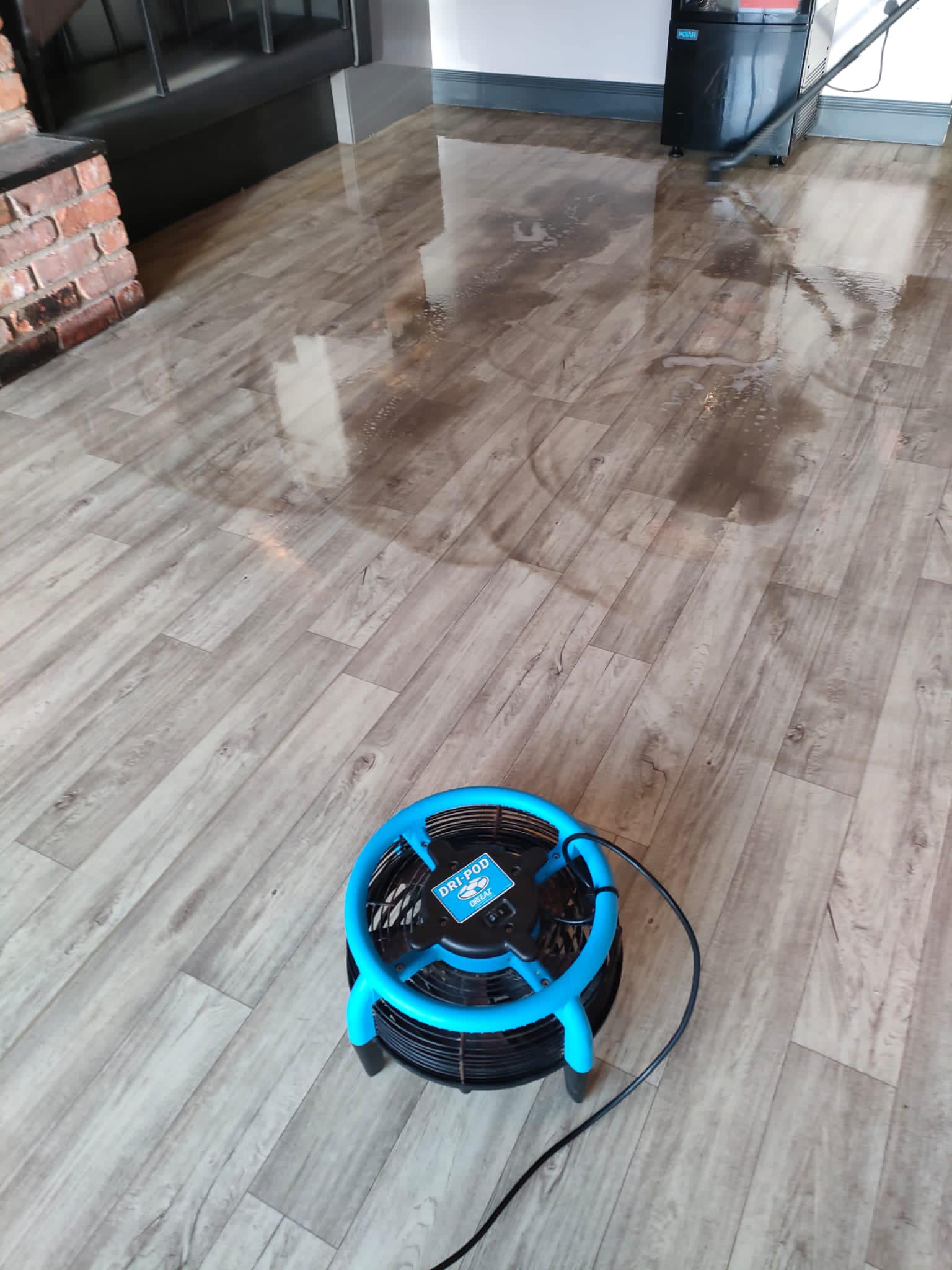 Domestic Carpet Cleaning in Bangor Commercial Carpet Cleaning in