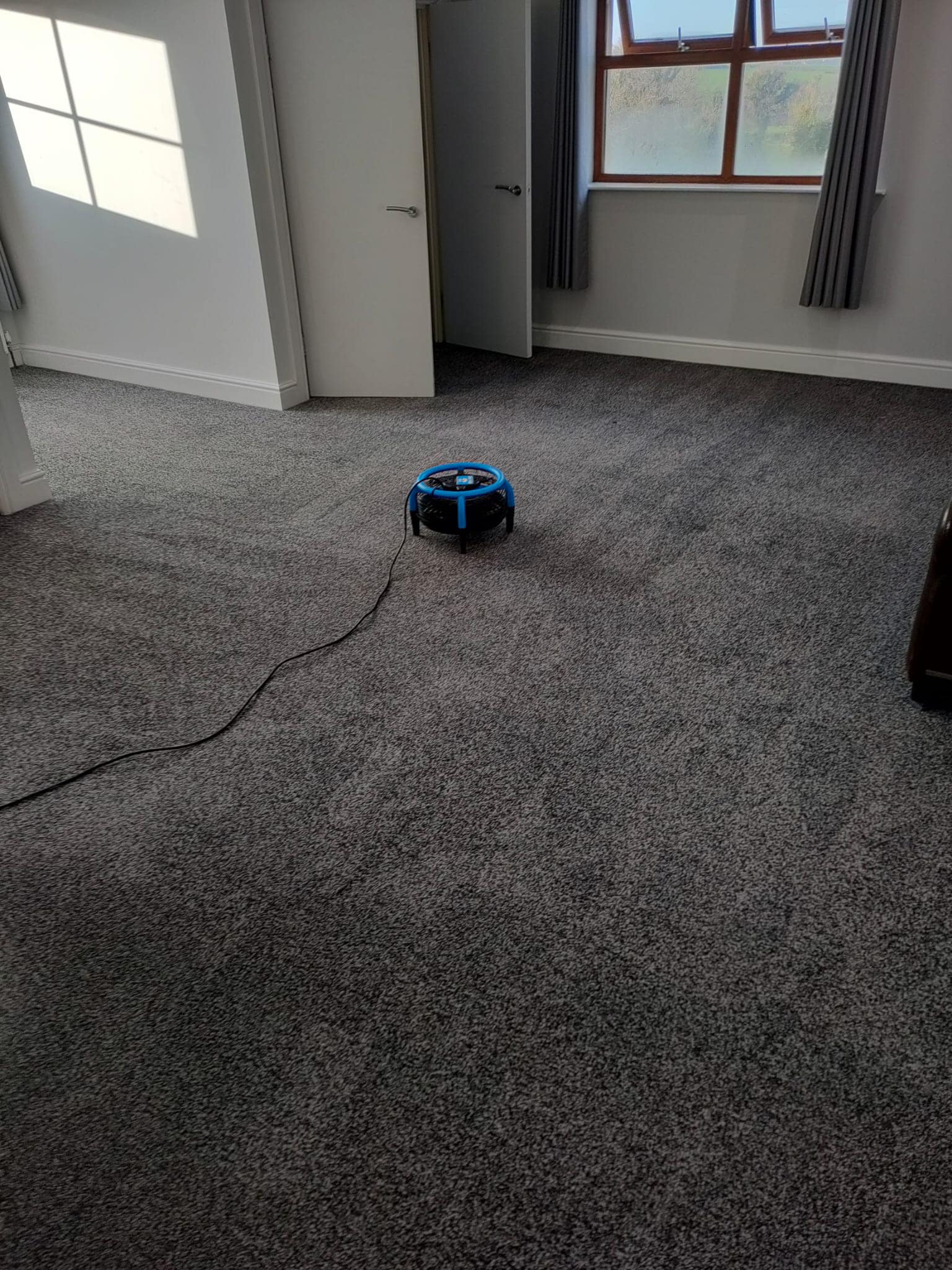 Domestic Carpet Cleaning in Bangor Commercial Carpet Cleaning in