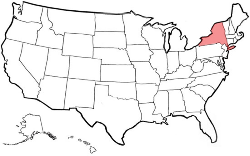 Gold Coast Flooring Hicksville Ny Midas Development Group Partners