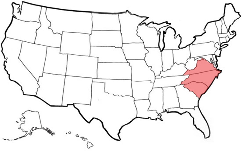 Distributors MP Global Products