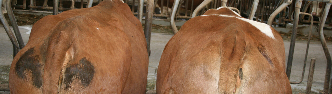 FSMIRMi mpr Milchprüfring Bayern e.V.