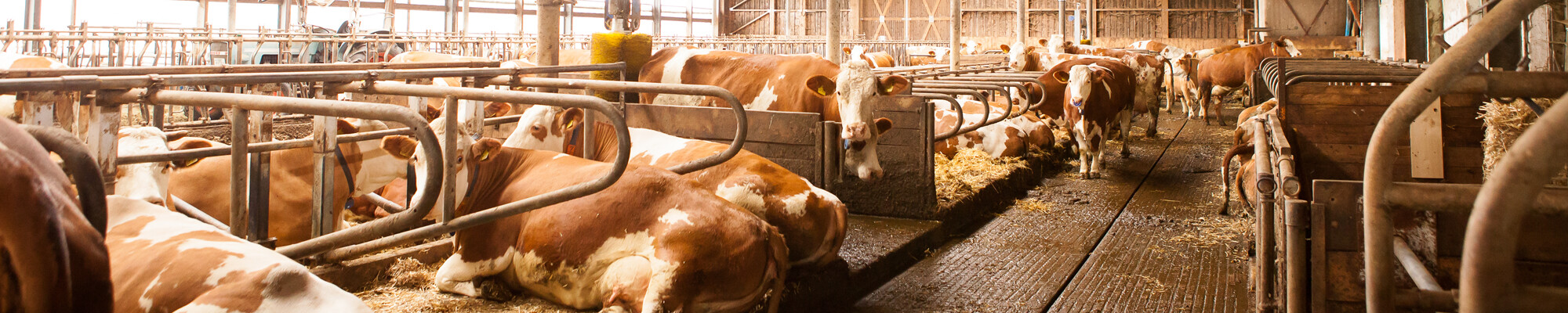 FSMIRMi mpr Milchprüfring Bayern e.V.