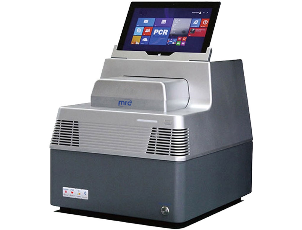 Real Time PCR