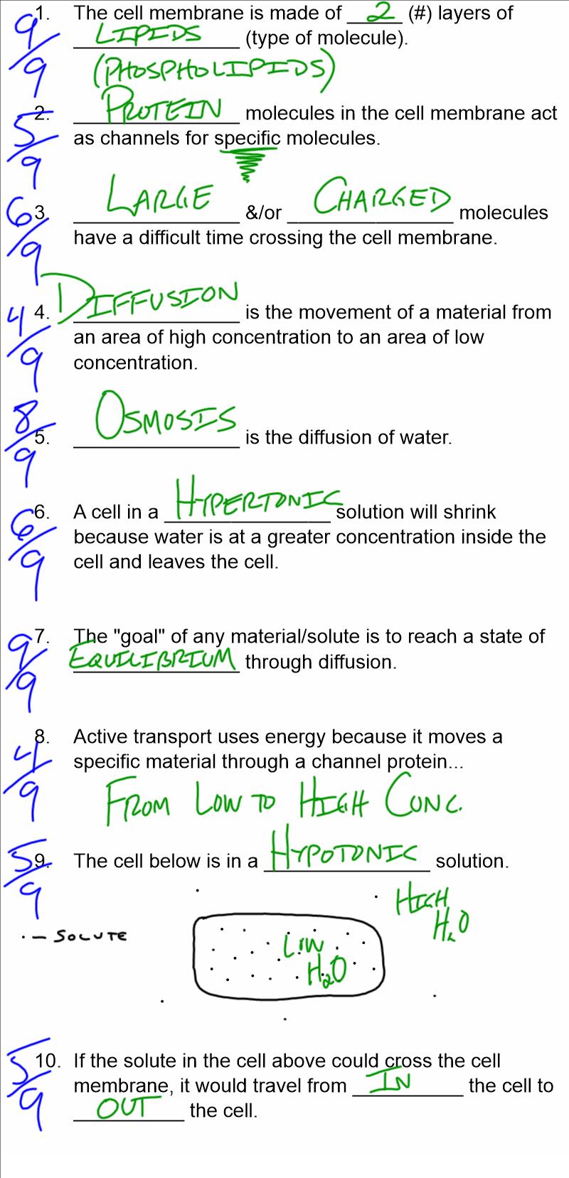BioDub Help for Thursday's Quizlet on The Cell Membrane, Diffusion