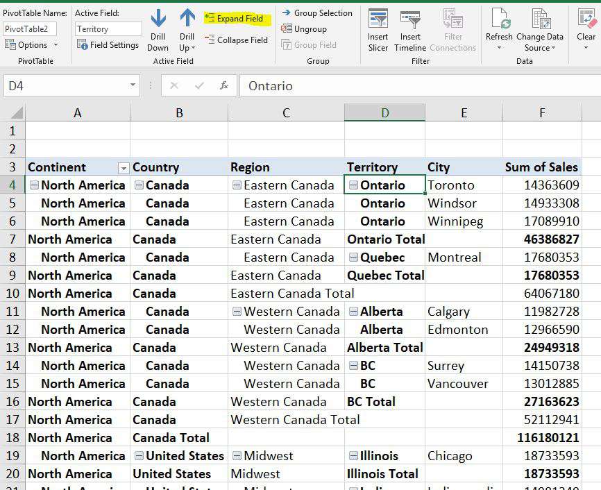 Creating a Hierarchy in a Pivot Table Excel Tips MrExcel Publishing