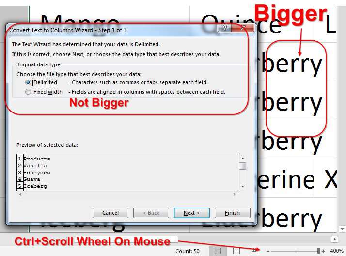 Magnifier in Excel Excel Tips MrExcel Publishing