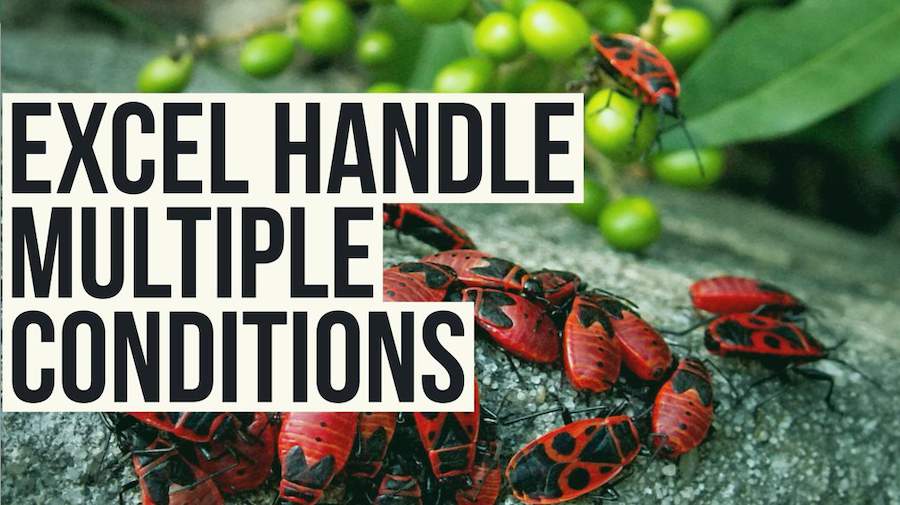 Multiple Conditions in IF Excel Tips MrExcel Publishing